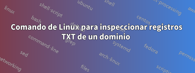 Comando de Linux para inspeccionar registros TXT de un dominio 