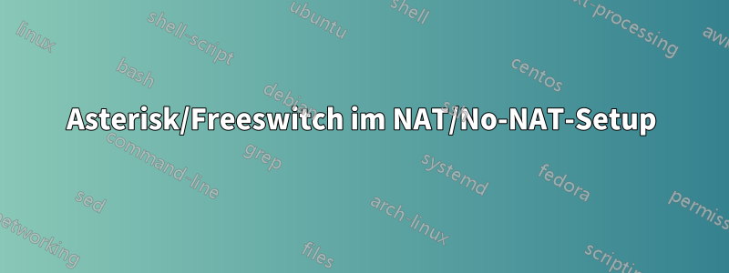 Asterisk/Freeswitch im NAT/No-NAT-Setup