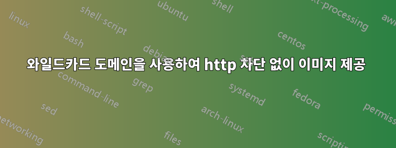 와일드카드 도메인을 사용하여 http 차단 없이 이미지 제공