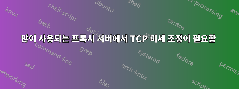 많이 사용되는 프록시 서버에서 TCP 미세 조정이 필요함