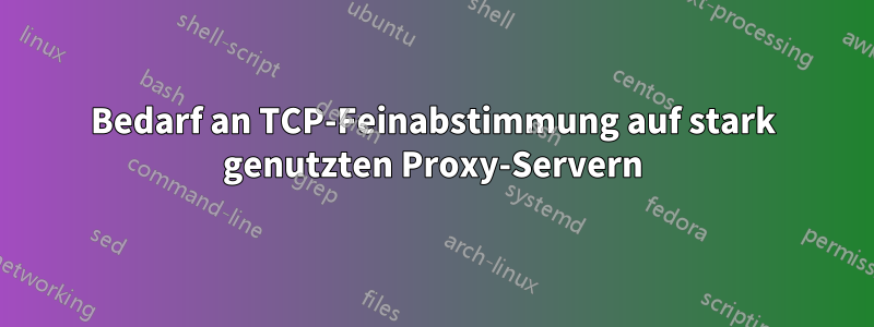 Bedarf an TCP-Feinabstimmung auf stark genutzten Proxy-Servern