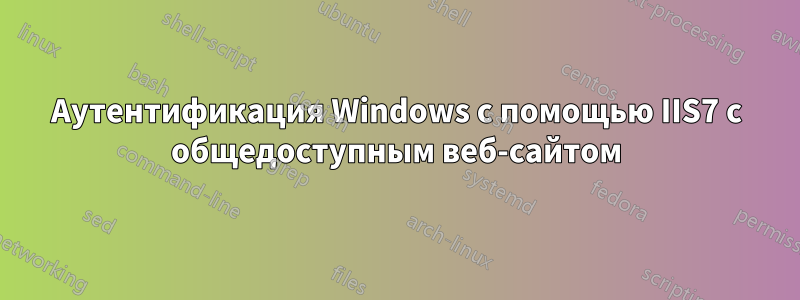 Аутентификация Windows с помощью IIS7 с общедоступным веб-сайтом