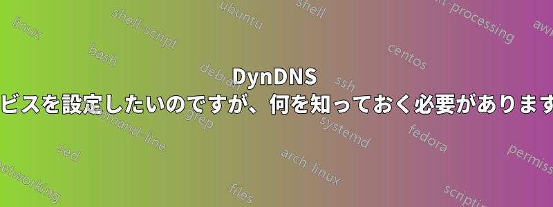 DynDNS サービスを設定したいのですが、何を知っておく必要がありますか?