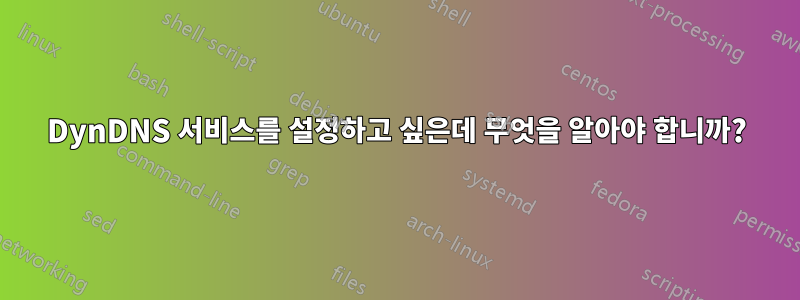 DynDNS 서비스를 설정하고 싶은데 무엇을 알아야 합니까?