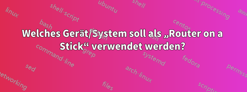 Welches Gerät/System soll als „Router on a Stick“ verwendet werden?