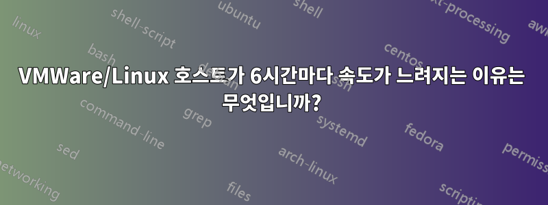 VMWare/Linux 호스트가 6시간마다 속도가 느려지는 이유는 무엇입니까?