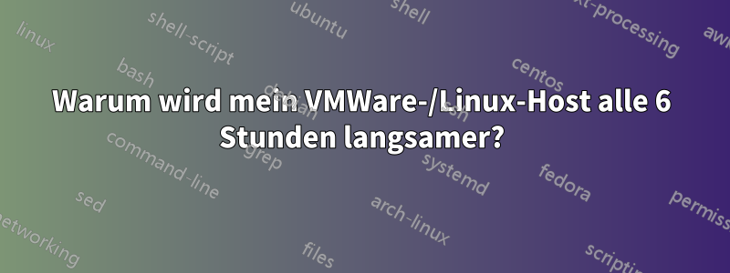 Warum wird mein VMWare-/Linux-Host alle 6 Stunden langsamer?