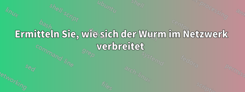 Ermitteln Sie, wie sich der Wurm im Netzwerk verbreitet 