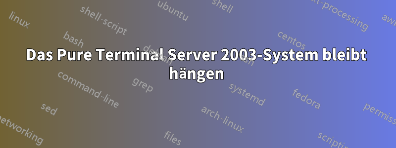 Das Pure Terminal Server 2003-System bleibt hängen