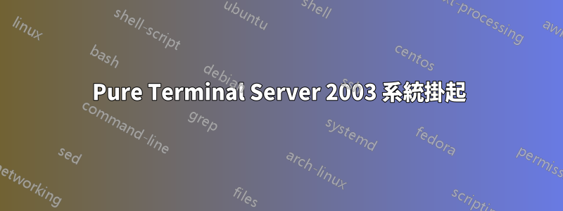 Pure Terminal Server 2003 系統掛起