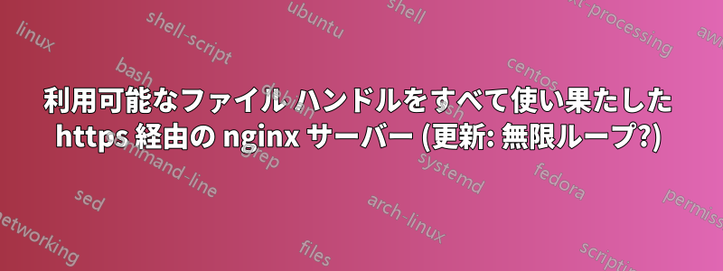 利用可能なファイル ハンドルをすべて使い果たした https 経由の nginx サーバー (更新: 無限ループ?)