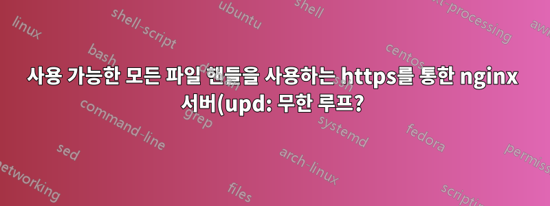 사용 가능한 모든 파일 핸들을 사용하는 https를 통한 nginx 서버(upd: 무한 루프?)