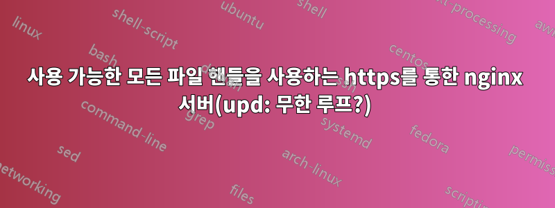 사용 가능한 모든 파일 핸들을 사용하는 https를 통한 nginx 서버(upd: 무한 루프?)