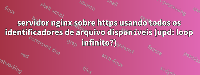 servidor nginx sobre https usando todos os identificadores de arquivo disponíveis (upd: loop infinito?)