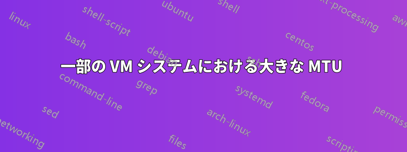 一部の VM システムにおける大きな MTU