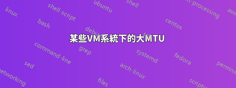 某些VM系統下的大MTU