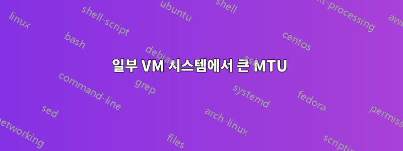 일부 VM 시스템에서 큰 MTU