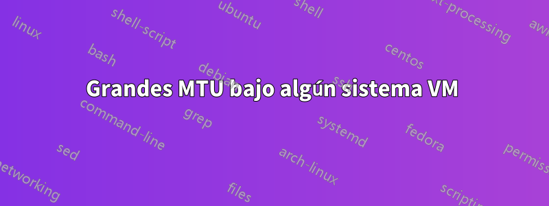 Grandes MTU bajo algún sistema VM