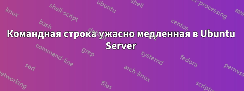 Командная строка ужасно медленная в Ubuntu Server