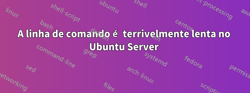 A linha de comando é terrivelmente lenta no Ubuntu Server