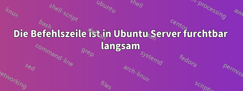 Die Befehlszeile ist in Ubuntu Server furchtbar langsam