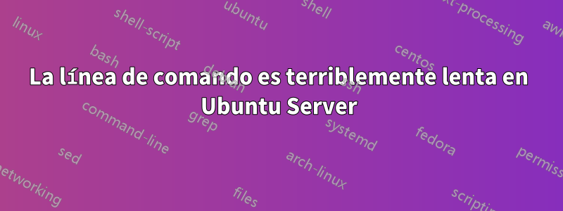 La línea de comando es terriblemente lenta en Ubuntu Server