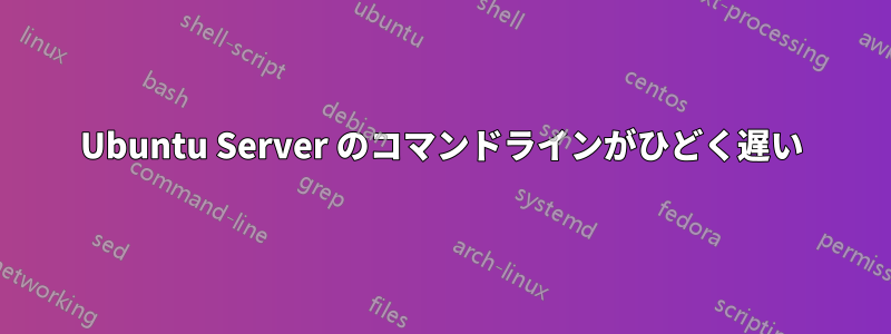 Ubuntu Server のコマンドラインがひどく遅い