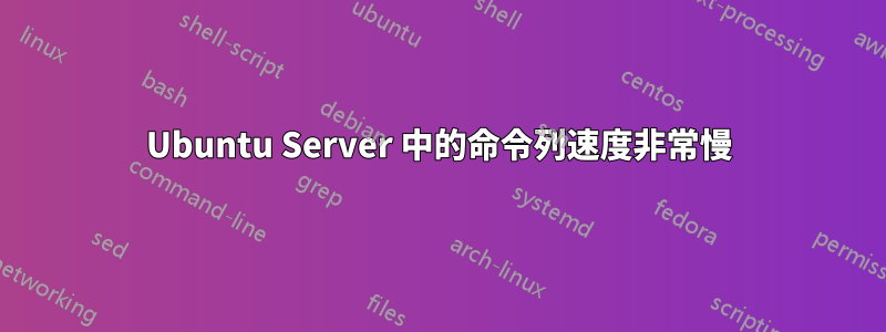 Ubuntu Server 中的命令列速度非常慢