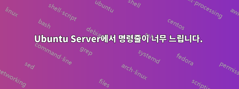 Ubuntu Server에서 명령줄이 너무 느립니다.