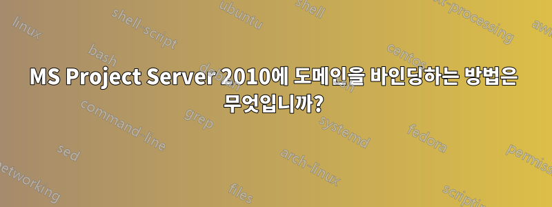 MS Project Server 2010에 도메인을 바인딩하는 방법은 무엇입니까?