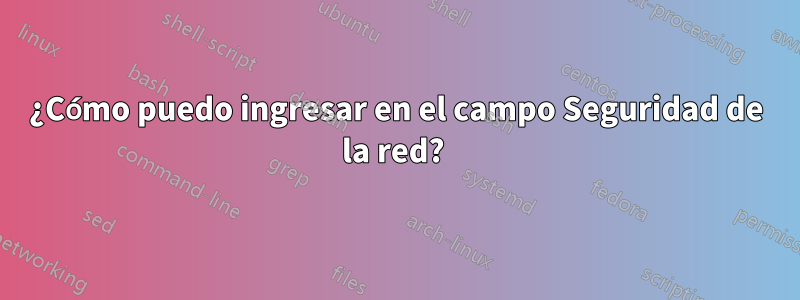 ¿Cómo puedo ingresar en el campo Seguridad de la red? 