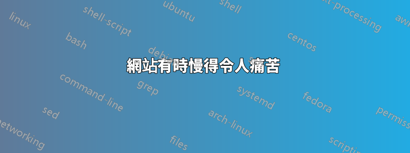 網站有時慢得令人痛苦