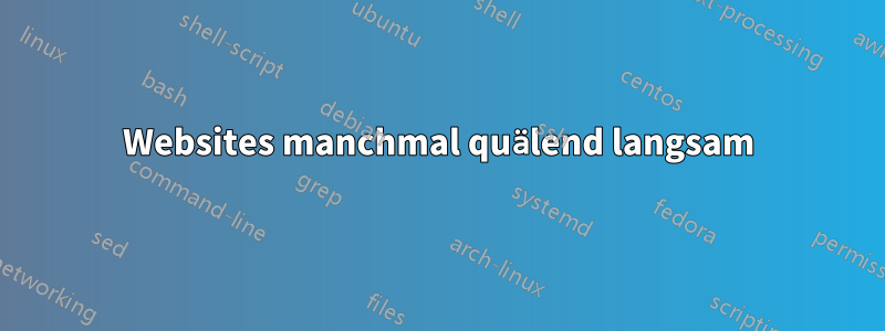 Websites manchmal quälend langsam