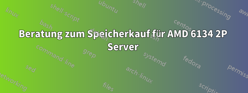 Beratung zum Speicherkauf für AMD 6134 2P Server