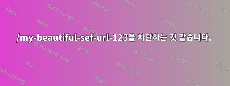 /my-beautiful-sef-url-123을 차단하는 것 같습니다.