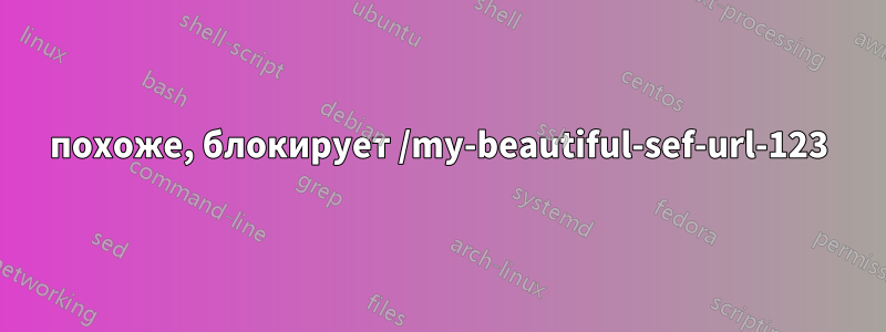 похоже, блокирует /my-beautiful-sef-url-123