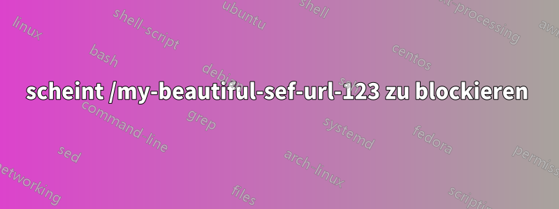 scheint /my-beautiful-sef-url-123 zu blockieren