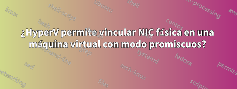 ¿HyperV permite vincular NIC física en una máquina virtual con modo promiscuos?