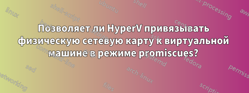 Позволяет ли HyperV привязывать физическую сетевую карту к виртуальной машине в режиме promiscues?