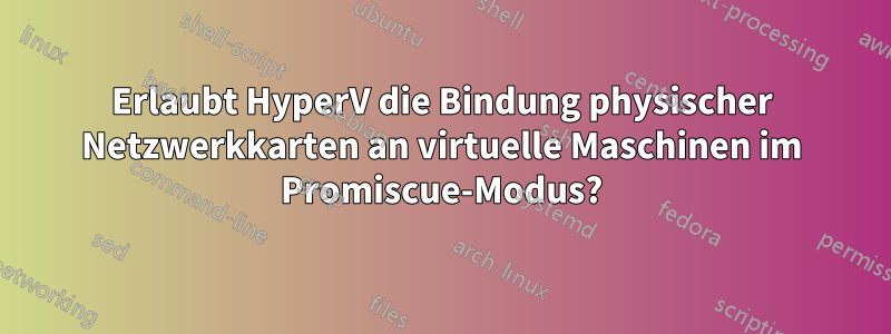 Erlaubt HyperV die Bindung physischer Netzwerkkarten an virtuelle Maschinen im Promiscue-Modus?