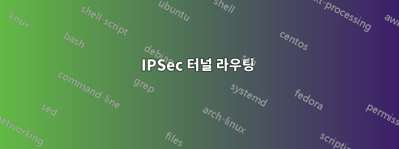 IPSec 터널 라우팅