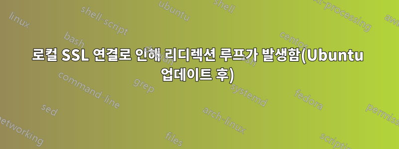 로컬 SSL 연결로 인해 리디렉션 루프가 발생함(Ubuntu 업데이트 후)