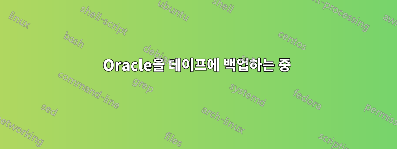 Oracle을 테이프에 백업하는 중