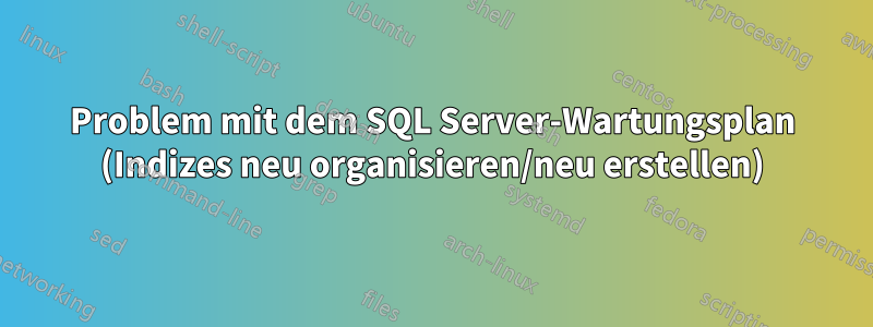 Problem mit dem SQL Server-Wartungsplan (Indizes neu organisieren/neu erstellen)