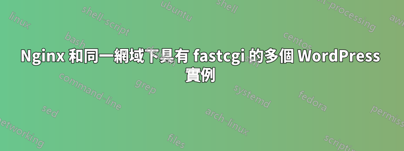 Nginx 和同一網域下具有 fastcgi 的多個 WordPress 實例