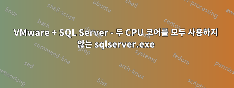 VMware + SQL Server - 두 CPU 코어를 모두 사용하지 않는 sqlserver.exe