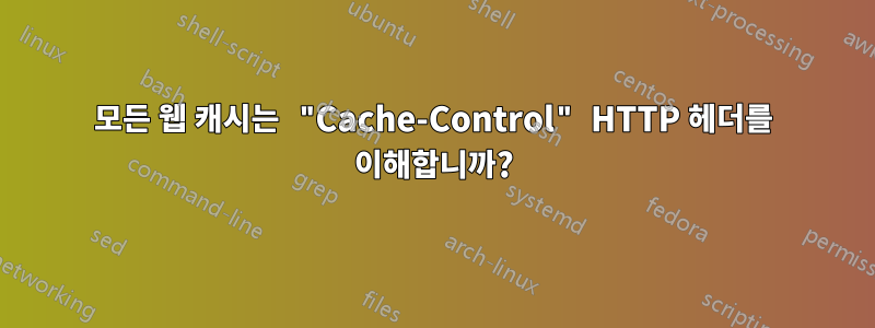 모든 웹 캐시는 "Cache-Control" HTTP 헤더를 이해합니까?