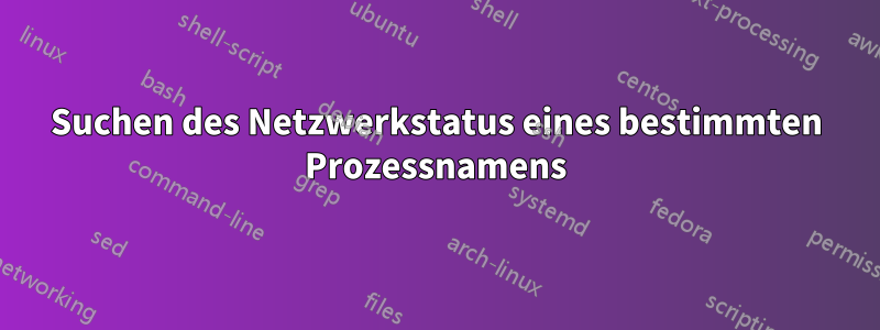 Suchen des Netzwerkstatus eines bestimmten Prozessnamens