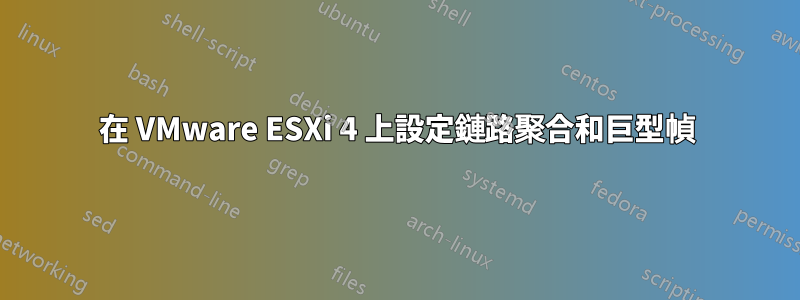 在 VMware ESXi 4 上設定鏈路聚合和巨型幀
