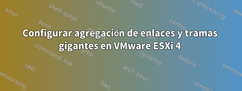 Configurar agregación de enlaces y tramas gigantes en VMware ESXi 4